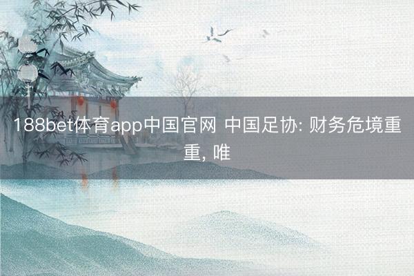 188bet体育app中国官网 中国足协: 财务危境重重， 唯