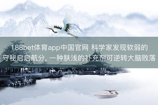 188bet体育app中国官网 科学家发现软弱的守秘启启航分， 一种肤浅的补充剂可逆转大脑败落