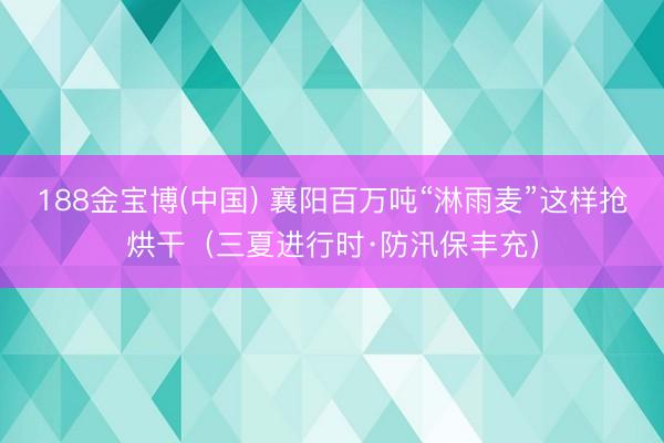 188金宝博(中国) 襄阳百万吨“淋雨麦”这样抢烘干(三夏进行时·防汛保丰充)