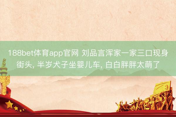 188bet体育app官网 刘品言浑家一家三口现身街头， 半岁犬子坐婴儿车， 白白胖胖太萌了