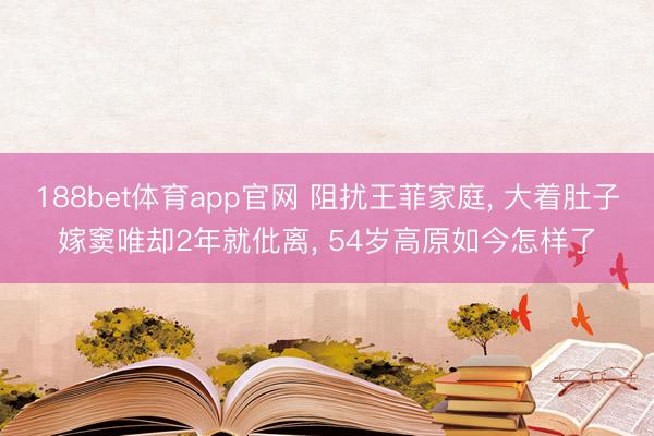 188bet体育app官网 阻扰王菲家庭， 大着肚子嫁窦唯却2年就仳离， 54岁高原如今怎样了
