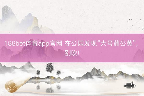 188bet体育app官网 在公园发现“大号蒲公英”, 别吹!